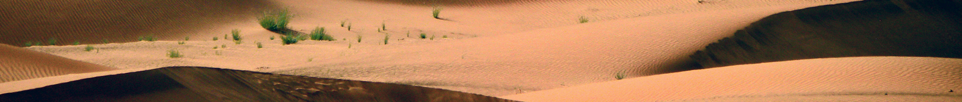 Dune Banner